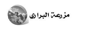 5 5